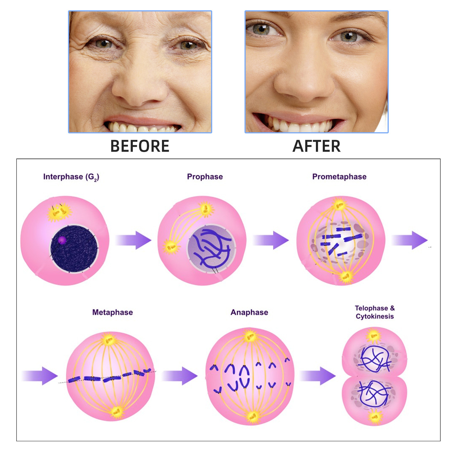 2 ミリリットル * 7 個ヒアルロン酸メソフェイスアンプル - Hyaluronic Acid Facial Serum のレビューと価格
